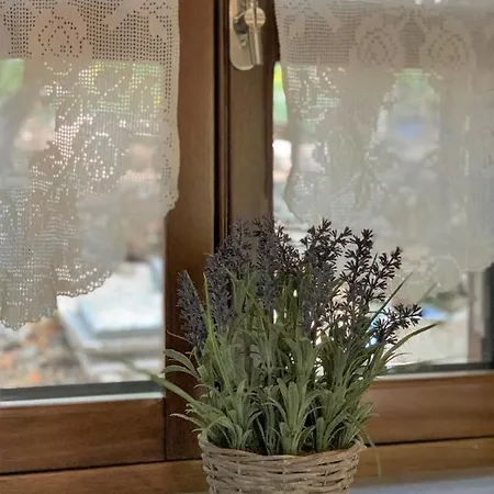 Stone House Dom wakacyjny *