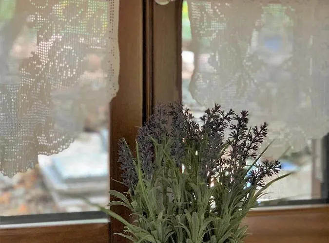 Stone House Σπίτι διακοπών *